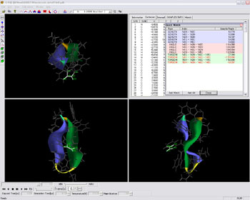 Separate, synchronized camera views are displayed in high-resolution, full color.